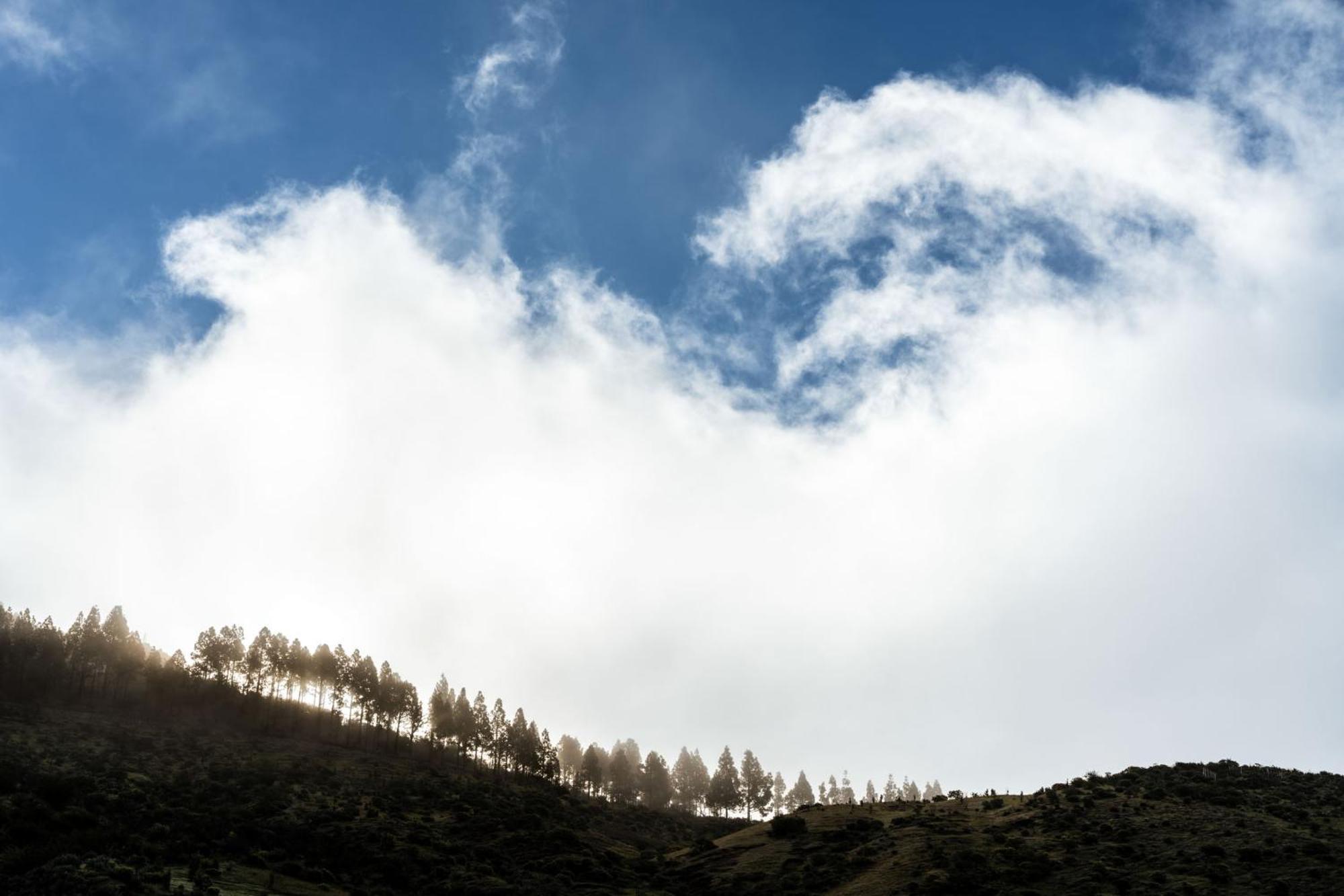 Parador De Cruz De Tejeda Dış mekan fotoğraf